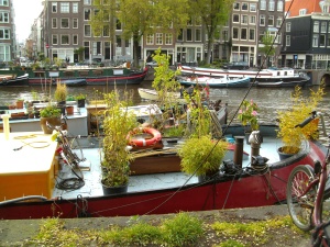 gardening on a boat